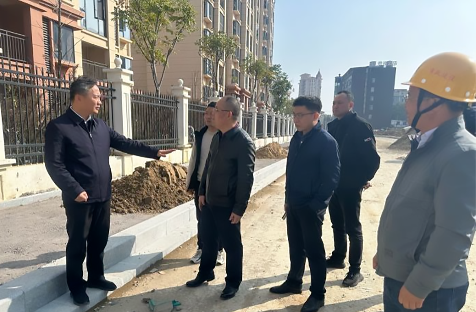 青山湖區(qū)黨委副書記、區(qū)長楊育星到利民路項目調(diào)研